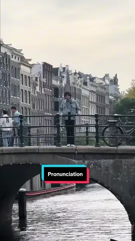 ui 🧅  #dutchlanguage #expatlife #LanguageLearning #dutchies #amsterdam 