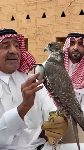 #الامير_مقرن_بن_عبدالعزيز #صقر 