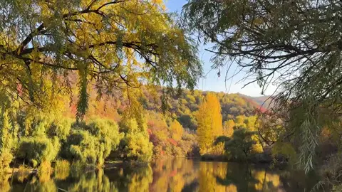 Осень в Алмате #autumn #осень #рекомендации #рек #almaty 