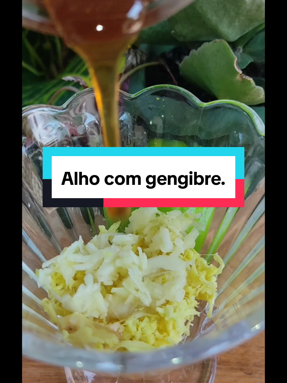 gengibre com Alho #receita #dica #remedioscaseros #saúde #beneficios 