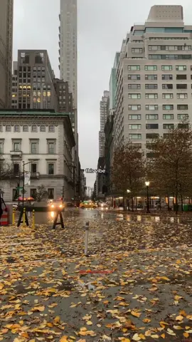 #autumn #fypageシ #leaves #autumnal #rain 