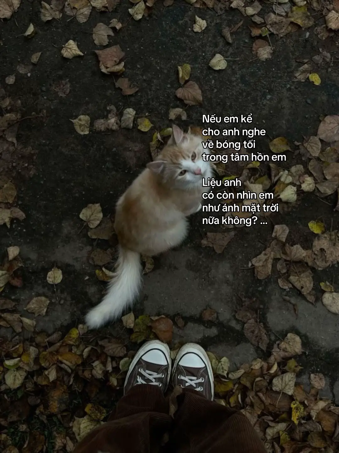 #flop #fyp 