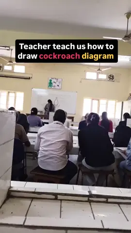 The backbenchers😎#viral #fyp #foryou #goviral #trending 
