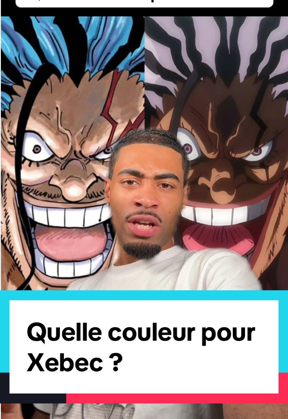 Quelle couleur pour Xebec ?