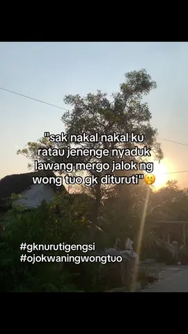 #mojokerto24jam #fyp 