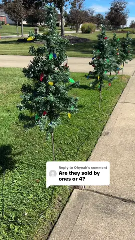 Replying to @Ohyeah Light up your yard this holiday season with these festive outdoor solar miniature Christmas trees! #christmastree #xmastree #christmasdecor #holidaydecor #tiktokshopblackfriday 