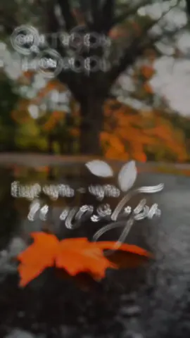 #ноябрь #осень 