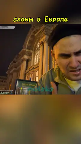 во Франции  #twitch #leva2k #стрим 