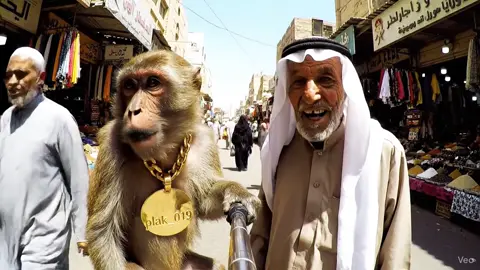 #شعب_الصيني_ماله_حل😂😂 #لايك__explore___ #متابعه_ولايك_واكسبلور_احبكم 