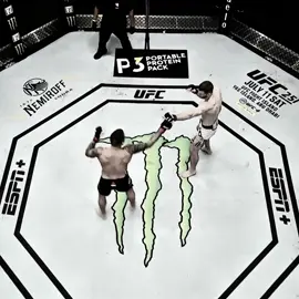 These sounds🥶 #dustinpoirier #danhooker #UFC #mma #mmaedit #edit #fyp 
