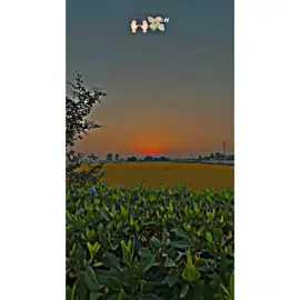 Yaar Gal At Sari Nota Di🙌🏻💸#foryou #پنڈاں_والے #جٹ_محکمہ👑 #unfrezzmyaccount 