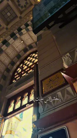 #باسم_الكربلائي #اكسبلورexplore #ياعلي 