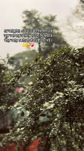 ❤️‍🩹🥹#viral #foryoupage #islamic_caption #viral #viralvideo 