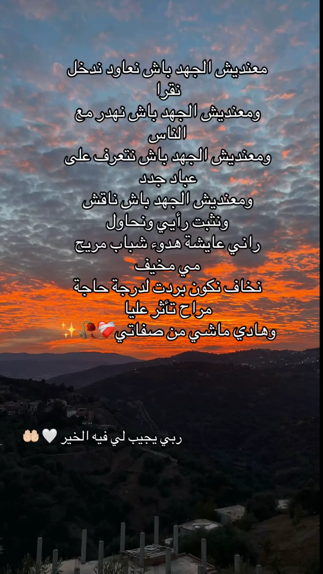 #vibes #شعب_الصيني_ماله_حل😂😂 #الجزائر_تونس_المغرب #الجزائر🇩🇿 #viralditiktok 