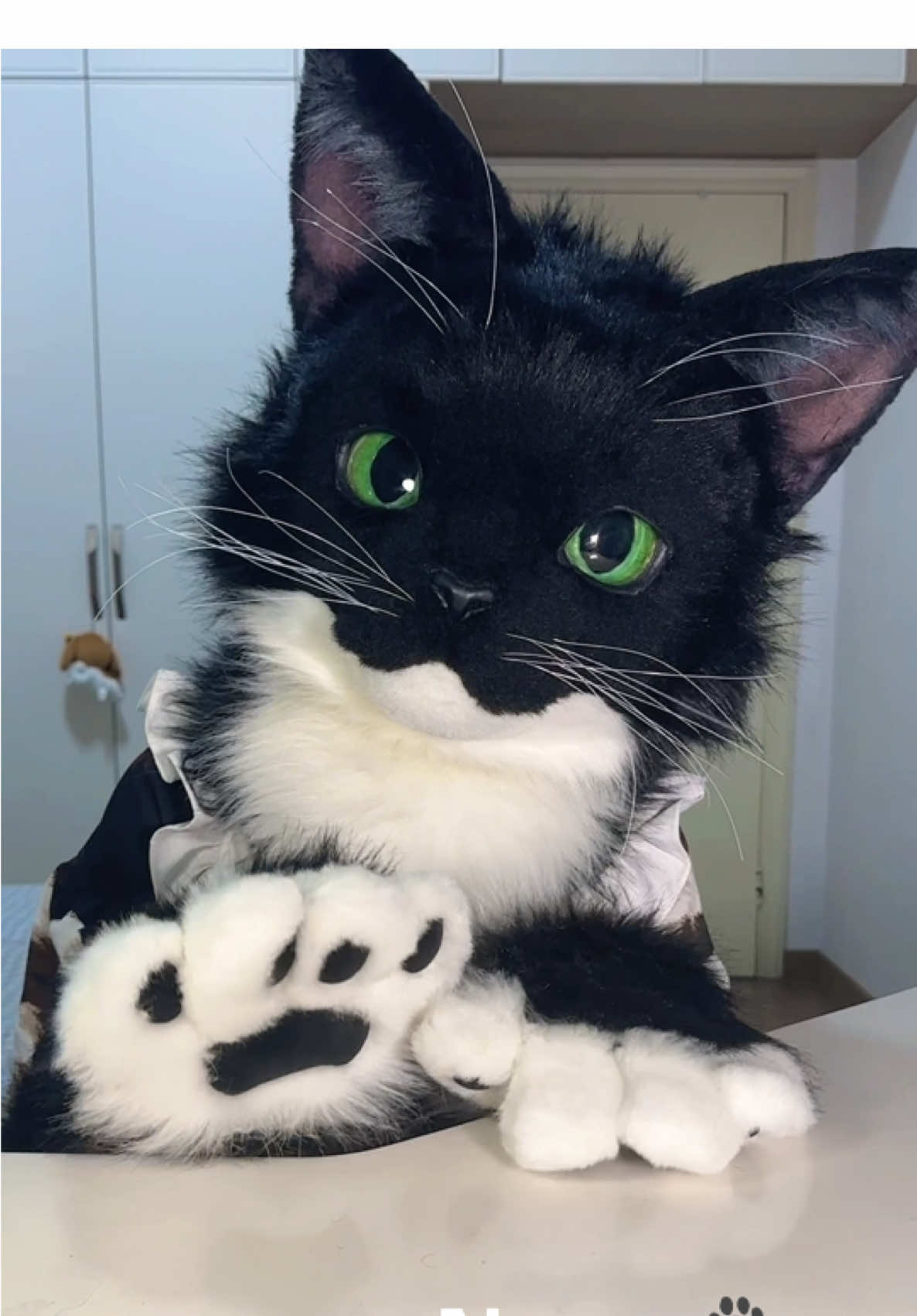 But what does that have to do with the little kitty, hmm?  #realisticfursuit #furry #fursuit #kitty #cat 