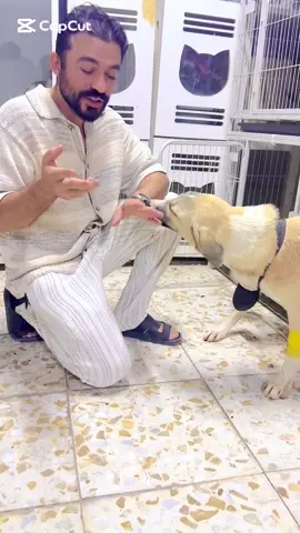 #تشهد #تشهد #عليكم #ألسنتهم #وأيديهم_وأرجلهم_بما_كانوآ_يعلمون 