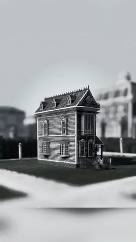 A man decided to take revenge on his annoying neighbors in the most unusual way — by building a massive fence just to punish them! What started as a simple boundary turned into a wall of spite, blocking sunlight, views, and even Wi-Fi signals. His neighbors were furious, but he claimed it was “just for privacy.” This bizarre act sparked a heated feud that went viral, leaving everyone debating — was he right to do it, or did he go too far?