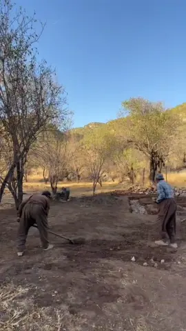 #💚💛❤️ #دهوك_زاخو_سليماني_ئاكري_ئامیدی_هولیر #spindari #barwari🍎 #❤️ 