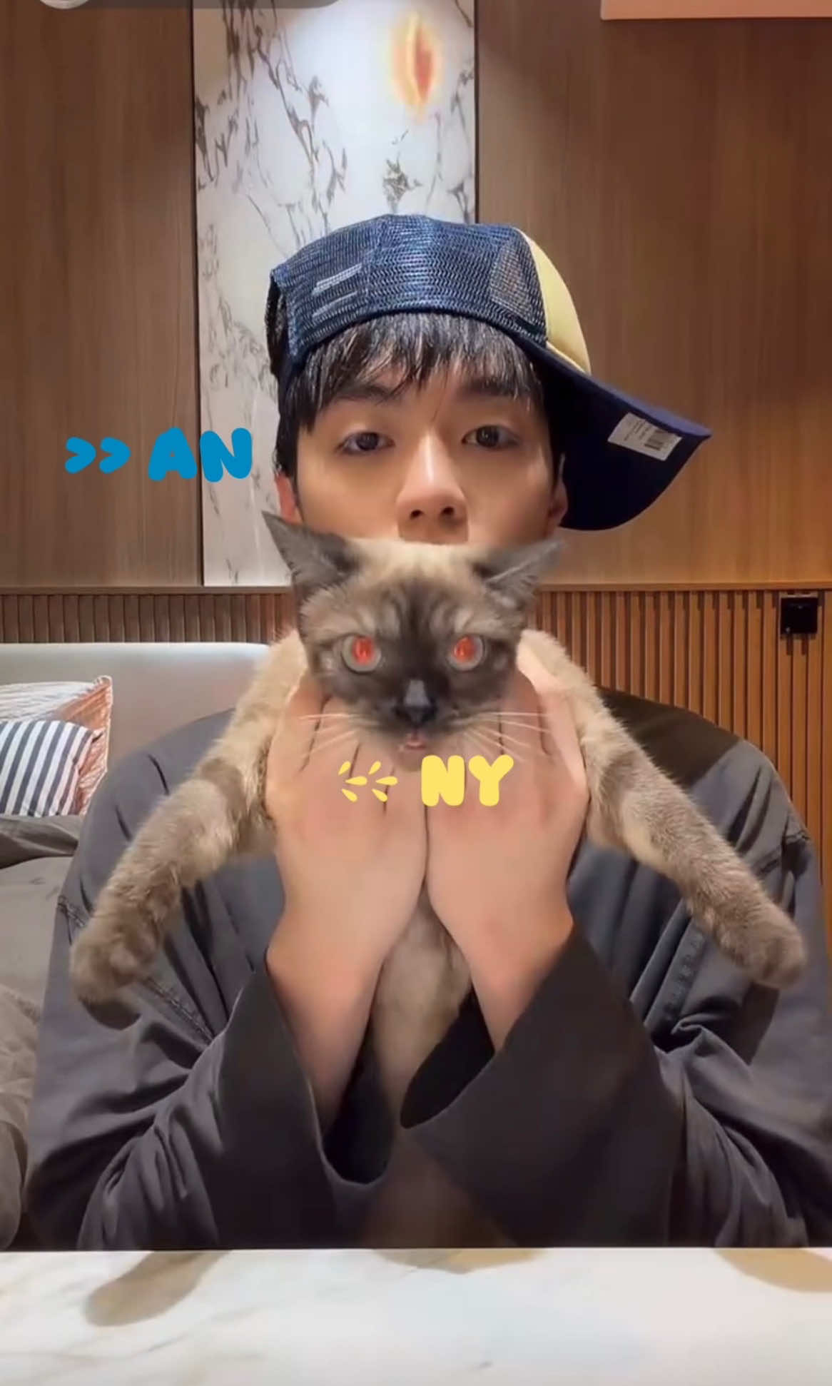 Ủa.. Con Mèo của nhỏ An tên là Ny??  >>🐣Gì vậy con?    🐣 đi lại đây coi ny   🐣lại đây ba biểu nè... 😹😹 ••zà tui tên là AnNy 🤣🤣 có thể cười đến sáng chưa tannnn lun đó @hellonegav #negav #anhtraisayhi2025 