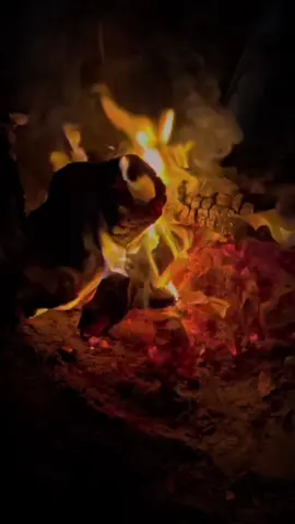 #CapCut #كلام_من_ذهب 