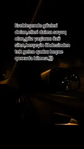 #keşfet #kesfetbeniöneçıkart #naxcivanli #fyp #keşfetteyizzz 