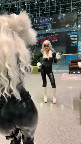 It’s a purr off 👀 #cosplay ##NYCC #cosplaygirls #blackcat #meow 