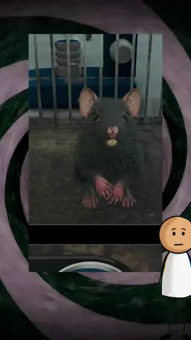 Experimento de la Adicción a las Trampas con Tinta Invisible #facts #mindblown #interestingfacts 