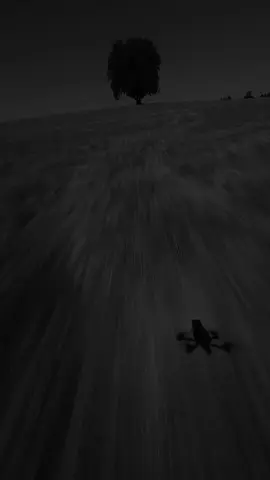 #شيعة_الامام_علي_عليه_السلام #تصميم_فيديوهات🎶🎤🎬 #كلمات_زهراء💜✨ #كلمات_زهرااء💜✨🦦 