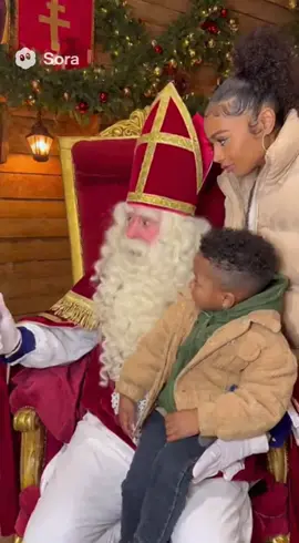 Oei oei Sinterklaas #video #fyp #memes #sinterklaas #sora 