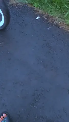 #jembertiktok #jember24jam #fypシ゚ #bucin_story 