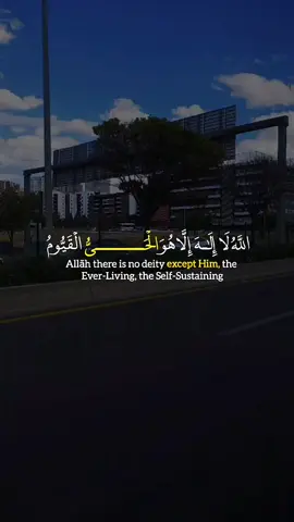 #قران_كريم 