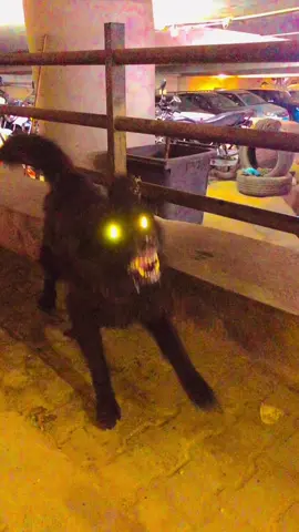 #الشقي😉🔥yyyyyyyyyyyyf🥷🏼 🫵🏽