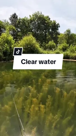 Clear water and..  #fishing #fish #fishingtiktoks #pike #fypシ 