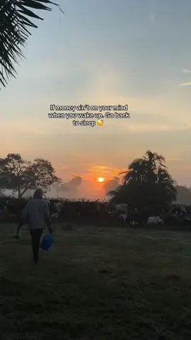 Locked in with the herd  🧘‍♂️🐄🤠 #cowsoftiktok #agriculture #foryoupage #fyppppppppppppppppppppppp 