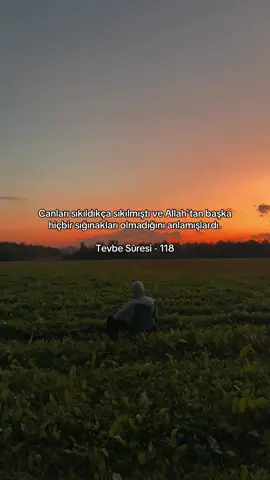 Sonra Allah, onları affetti ki tövbe etsinler. Şüphesiz Allah, tevbeleri çokça kabul eden ve çok acıyandır. 