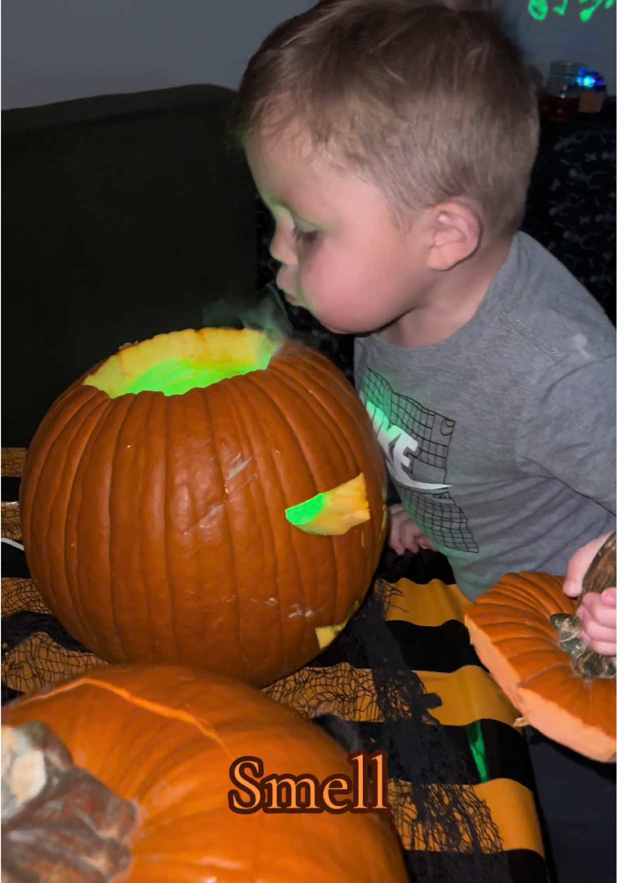 A haunted house kids can see, touch, smell, hear & taste! 🎃 #hauntedhouse #diyhalloween #halloweenfun #diyhauntedhouse #MomsofTikTok 