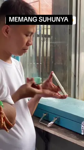 MEMANG SUHUNYA 