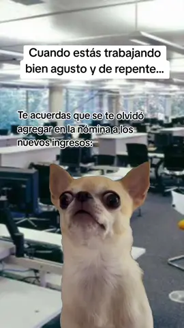 😱 #rrhh #rrhhmexico #yoreclutador #recursoshumanos #rh 