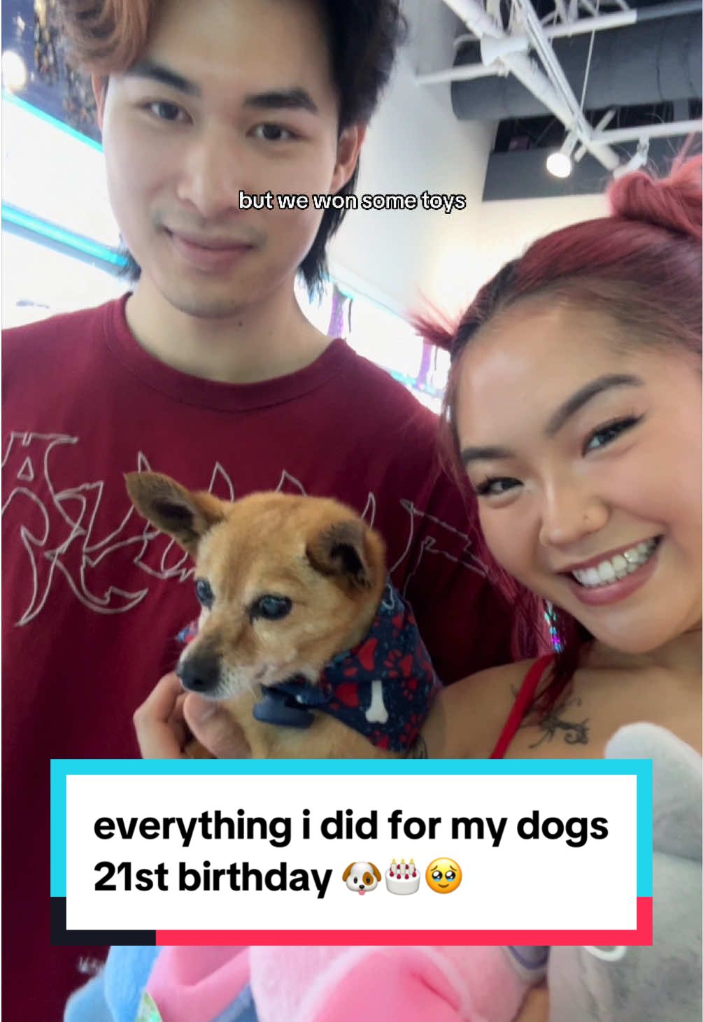 i really went ALL OUT for bingo’s birthday 😭🫶🍰 #dogsbirthday #dogsoftiktok #dogmom #dog #dogtok 