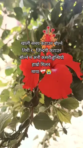 मिल्छ भने त्यही पुरानो मान्छे बनेर आइदेउन ,,सानु,, धेरै कुरा गर्नु छ तिमीसंग#fpシ゚viral🖤tiktok #😭😭😭😭😭😭💔💔💔😴😴 #fpシ゚viral🖤tiktok 