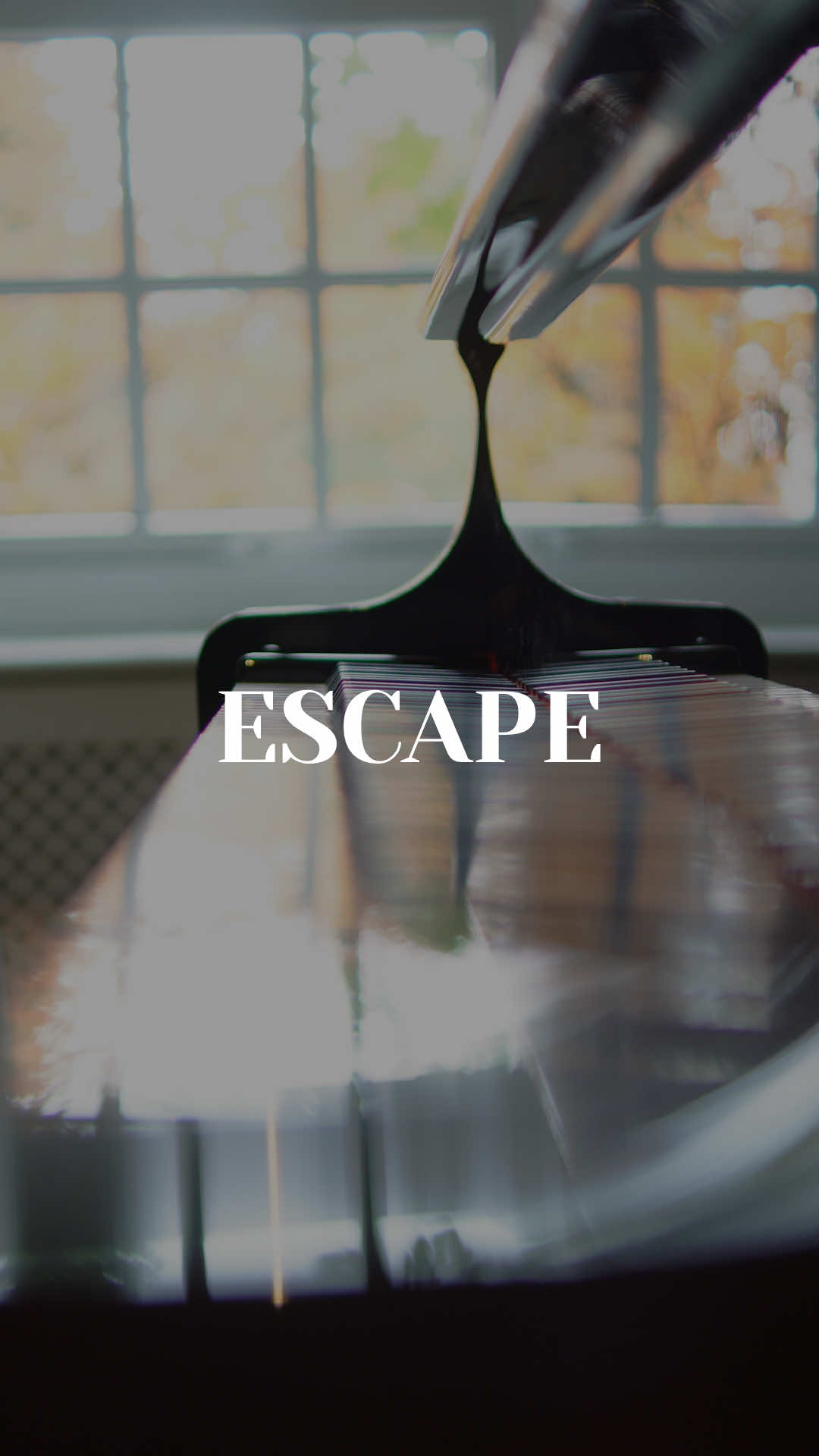 This is the melody that made me believe I could make a living out of my music. Escape is almost at 1 million streams now, thank you all fpr the support ♥️ You can find the sheets soon on raban.store 🎶 AND: You can get tickets to my live debut now! Follow the link in my bio 😊 #pianomusic #euphoric #emotionalpiano 