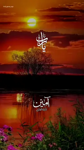 #آمين_يارب_العالمــــــين🤲🤲  #foryoupage #al_quran_030 #trendingvideo #viralvideo 