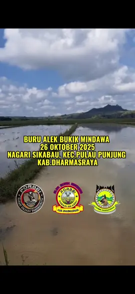 #alekbukikmindawa #porbimarentensumbar #porbidharmasraya #burualek 