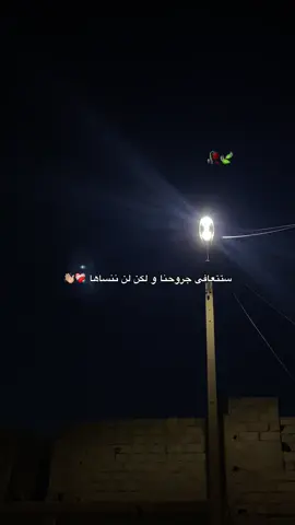 ستتعافى جروحنا و لكن لن ننساها ❤️‍🩹👋🏼#ستوريات 