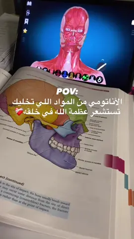 #اناتومي #medicalstudent #جامعة_العرب_الطبية_بنغازي_ليبيا🇱🇾❤ #يوميات_طالب_طب 