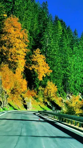 Switzerland beautiful Views 🇨🇭switzerland🇨🇭swiss🇨🇭schweiz🇨🇭 Switzerlandtravel