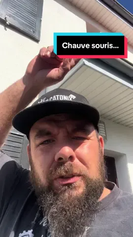 Réponse à @Ludivine Chartier  Bha je crois que les cabane c’est vraiment un coup de chance si elles y vont… perso elles ont trouvé mieux 😂. #maison #chauvesouris #humour #moustique 