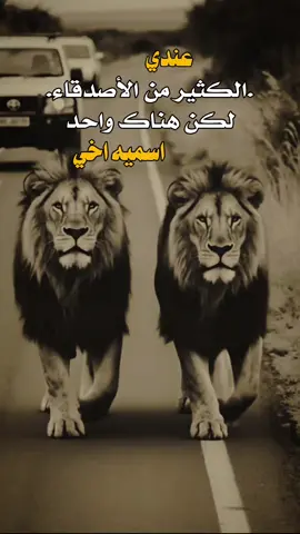 عندي 👌✋ #مساء_الخير #عبارات #اكسبلور 