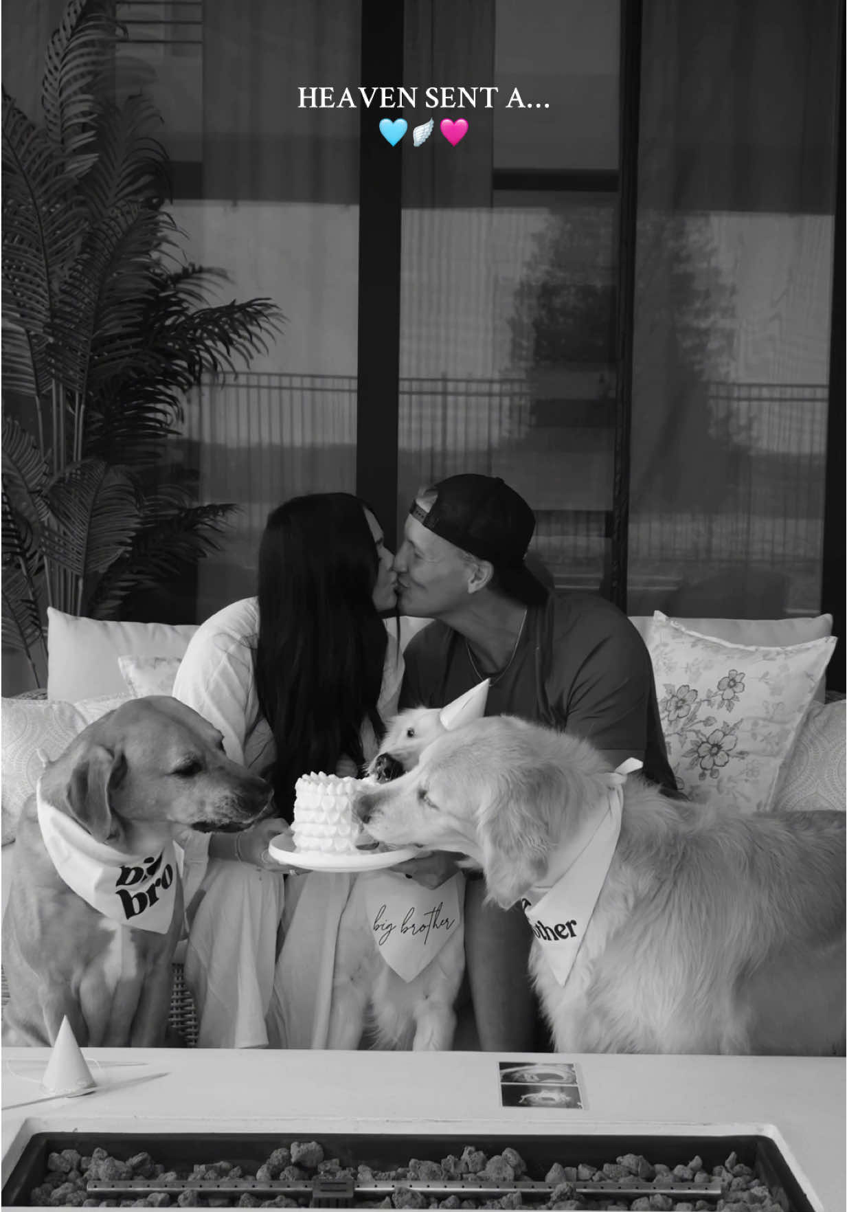 we’re having a baby…..🩵🩷 #genderreveal #intimategenderreveal #pregnant #pregnancy #viral 