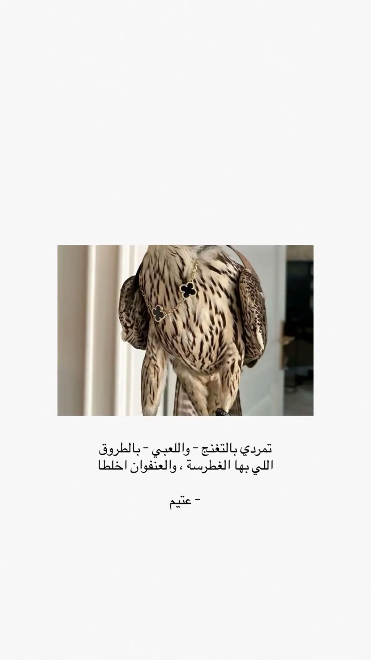 #عتيم  #fyppppppppppppppppppppppp 